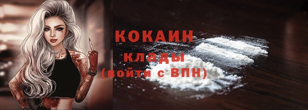 ПСИЛОЦИБИНОВЫЕ ГРИБЫ Бородино