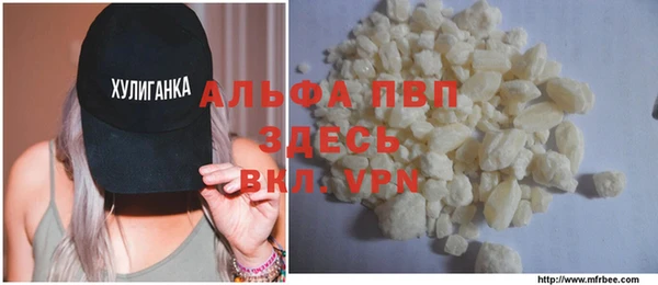 ПСИЛОЦИБИНОВЫЕ ГРИБЫ Бородино