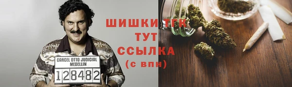 ПСИЛОЦИБИНОВЫЕ ГРИБЫ Бородино