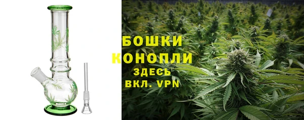 ПСИЛОЦИБИНОВЫЕ ГРИБЫ Бородино